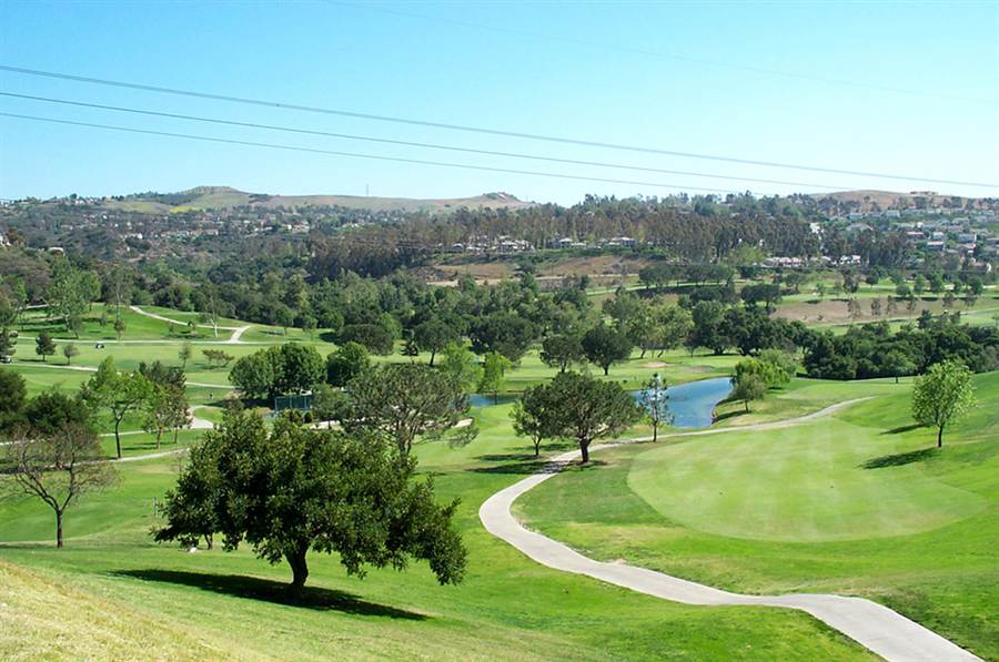 Green hills and homes in Anaheim Hills